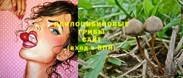 МДПВ Магас