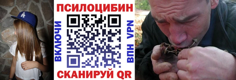 Галлюциногенные грибы Psilocybine cubensis  Белая Калитва 