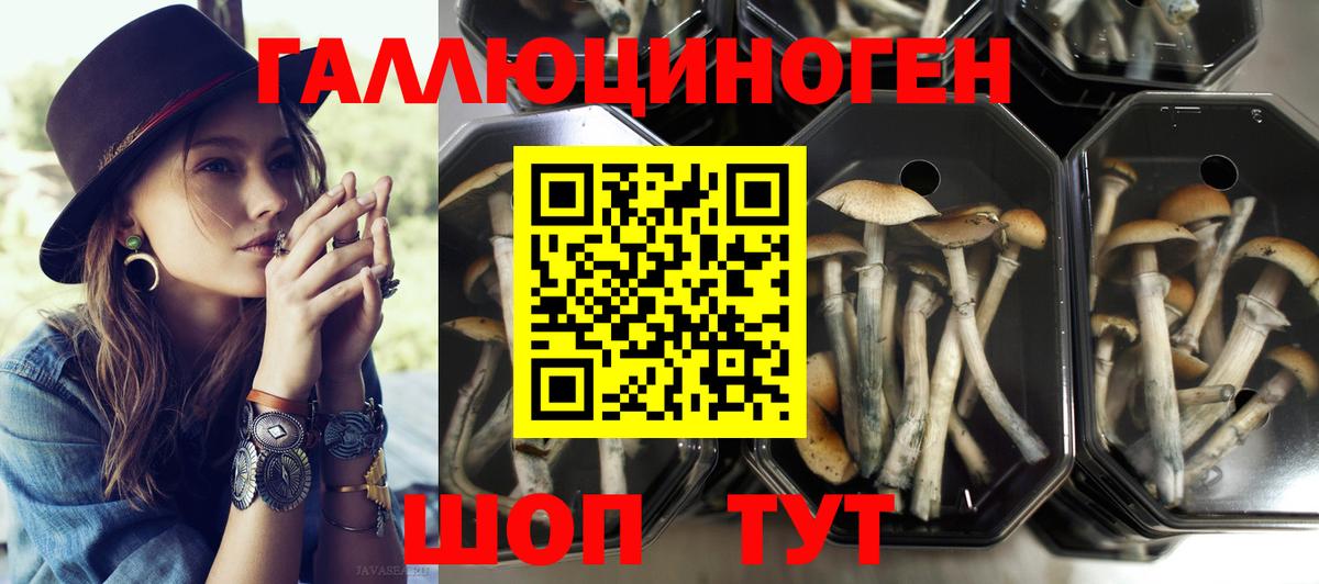 Псилоцибиновые грибы ЛСД Белая Калитва